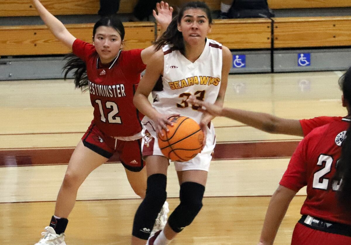 Ocean View's Jaden Campuzano (33) looks for an opportunity during the Golden West League third-place tiebreaker game.
