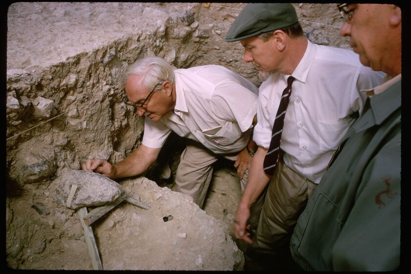 Visiting scientists gather around Dr. Louis Leakey to see the artifacts that have been recovered at the Calico Hills, Early Man, dig site in Yermo, California. (Photo by Jonathan Blair/Corbis via Getty Images)