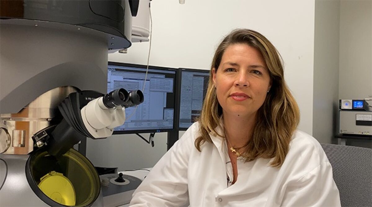 Erica Ollmann Saphire, Ph.D.