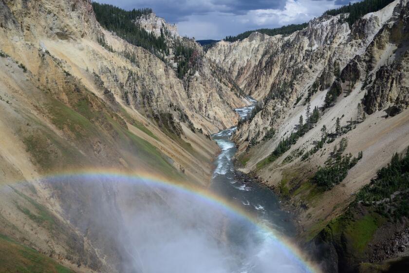 The Grand Canyon of the Yellowstone River as seen from the Brink of the Lower Falls in Yellowstone National Park.