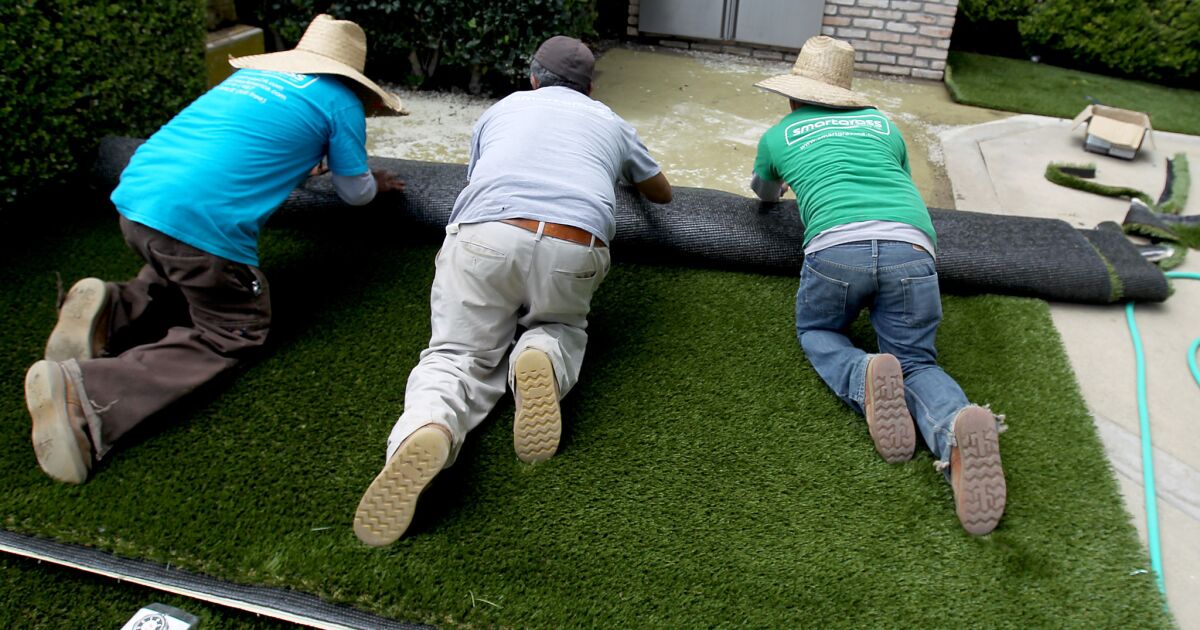 wealthy-city-big-winner-in-drought-lawn-rebate-program-los-angeles-times