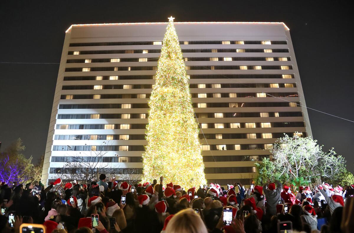 The 96-foot white fir tree lights up in front of the Westin Hotel.