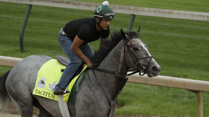 Tacitus deltar i en träningspass på Churchill Downs den 1 maj.