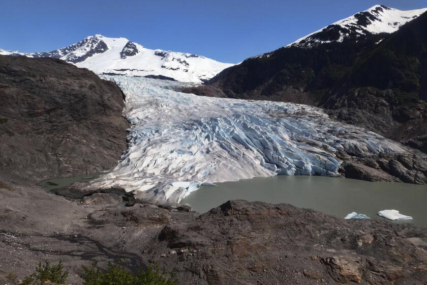 FILE - Chunks of ice float on Mendenhall Lake in front of the Mendenhall Glacier on Monday, May 30, 2022, in Juneau, Alaska. A study of all of the world's 215,000 glaciers published on Thursday, Jan. 5, 2023, finds even if with the unlikely minimum warming of only a few tenths of a degrees more, the world will lose nearly half its glaciers by the end of the century. With the warming we're now on track to get, the world will lose two-thirds of its glaciers and overall glacier mass will drop by one-third while sea level rises 4.5 inches just from melting glaciers. (AP Photo/Becky Bohrer)