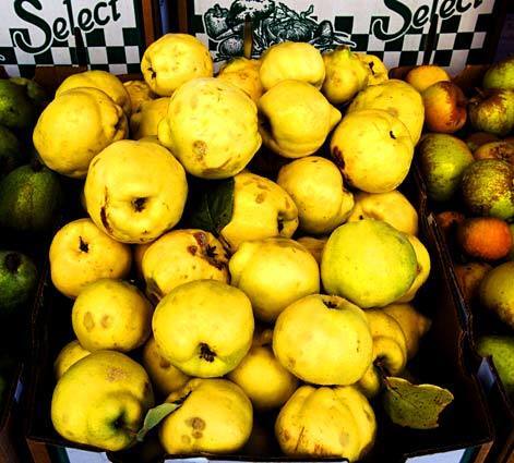 Pineapple quince