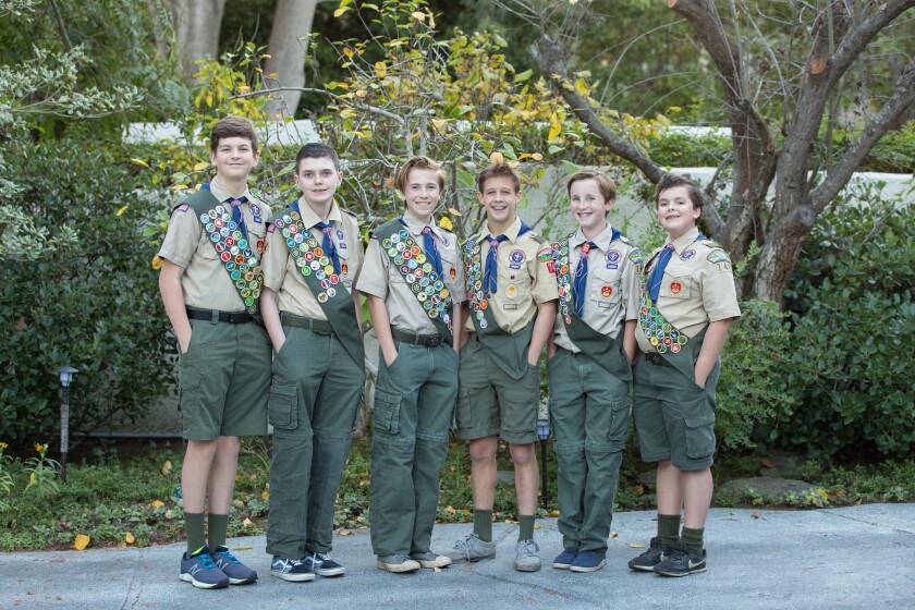 Boy Scout cousins