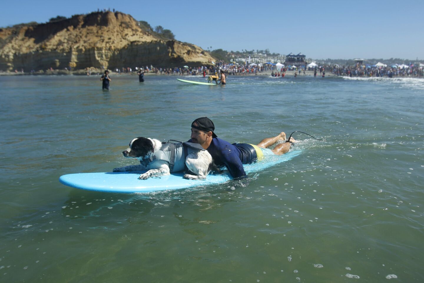 Ryan Harris and his dog Noah paddle out to surf in the freestyle division of the Helen Woodward Animal Center's 16th annual Surf Dog Surf-A-Thon.