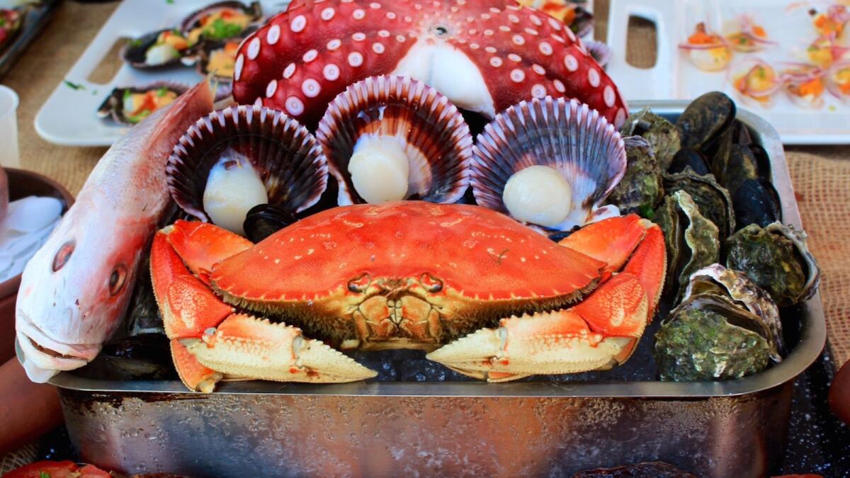 Cafe Secret's seafood spread at Latin Food Fest 2015.