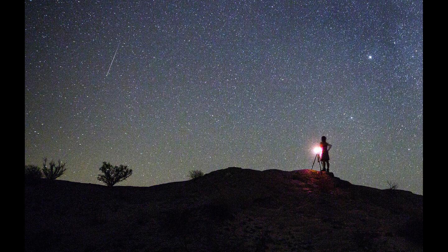 College photography professor Donna Cosentino watches meteor streak through the sky above Anza Borrego Desert State Park, just before dawn on Thursday. Scores of the "shooting stars" were observed during the annual skyshow when Earth passed through interplanetary matter from an orbiting comet.