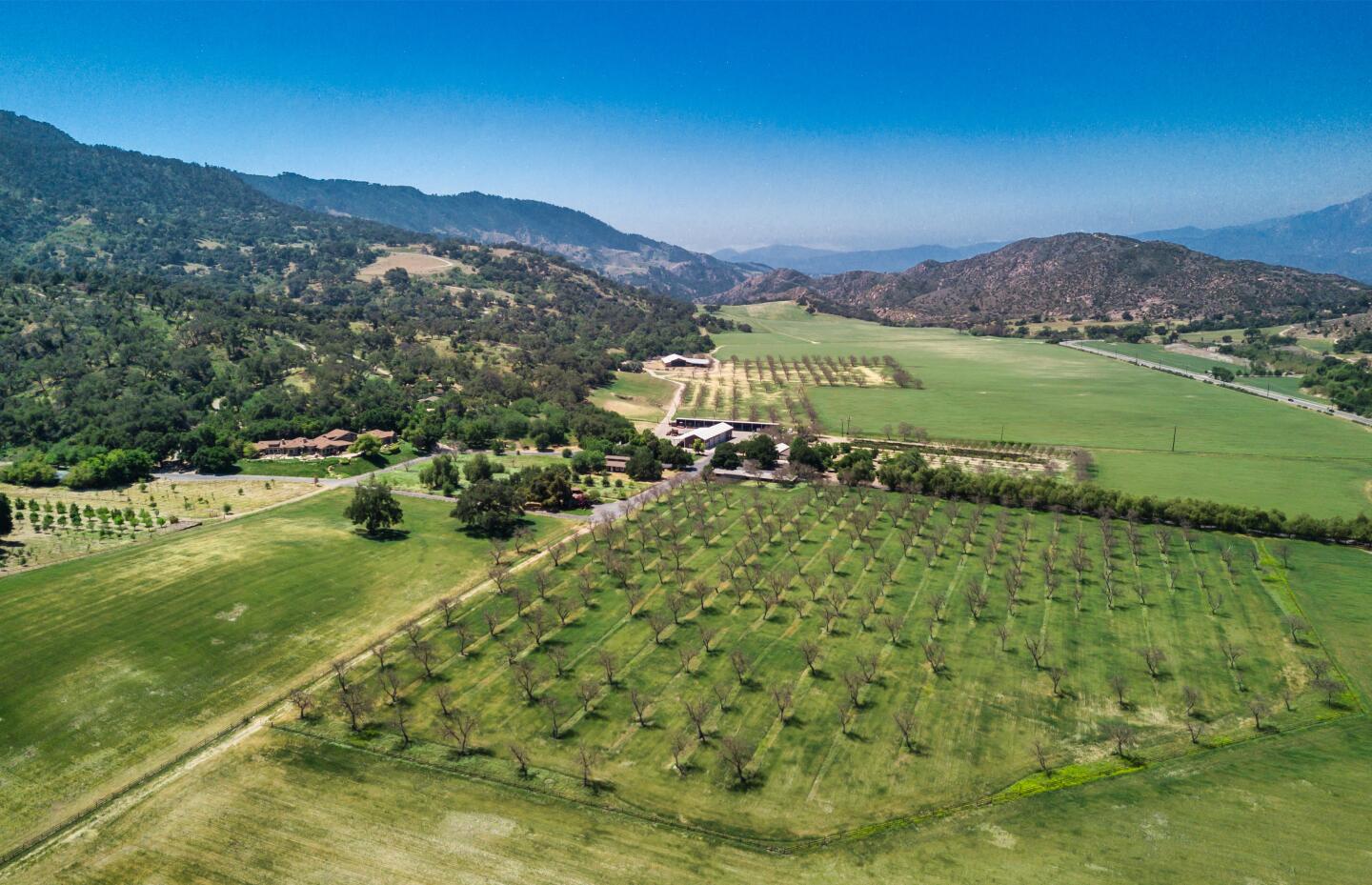 Aerial view of the estate