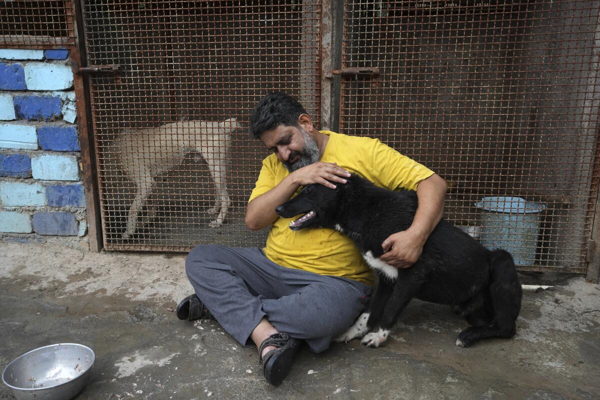A man caresses a stray dog.
