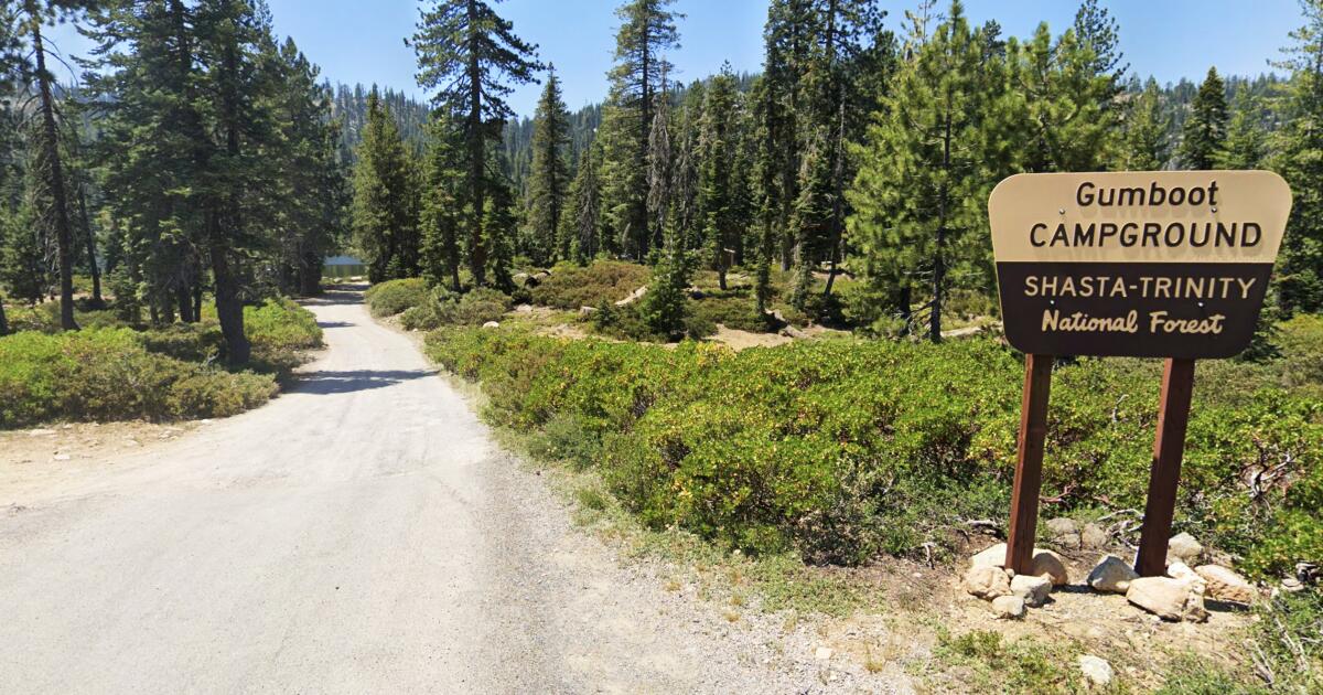 Des employés du Service forestier arrêtés et détenus sous la menace d’une arme à NorCal, selon le gouvernement fédéral