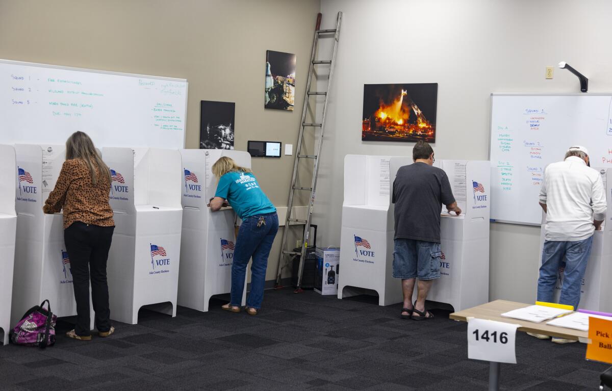 Four people fill out ballots at voting booths with their backs toward the camera.