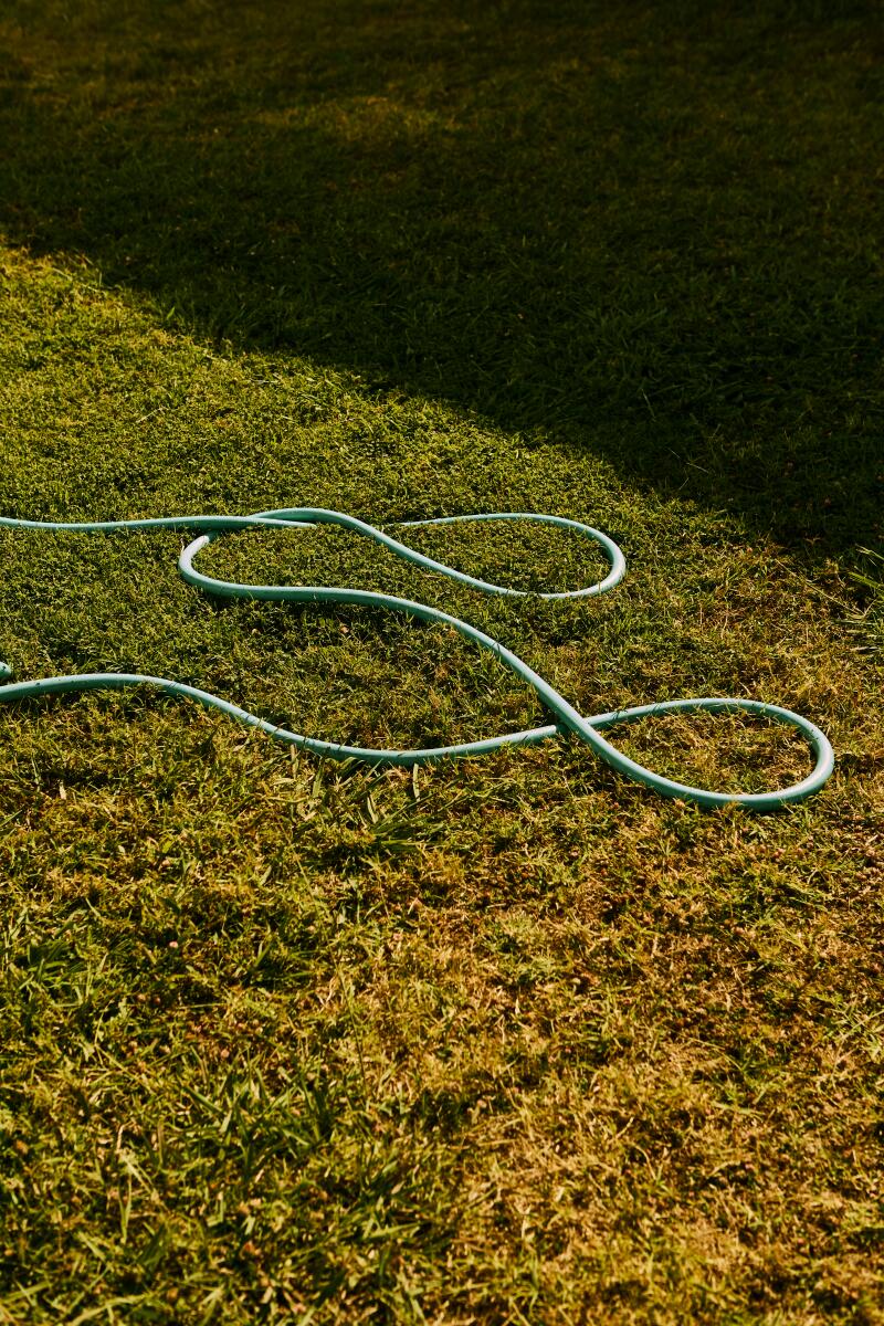 A hose on the lawn.