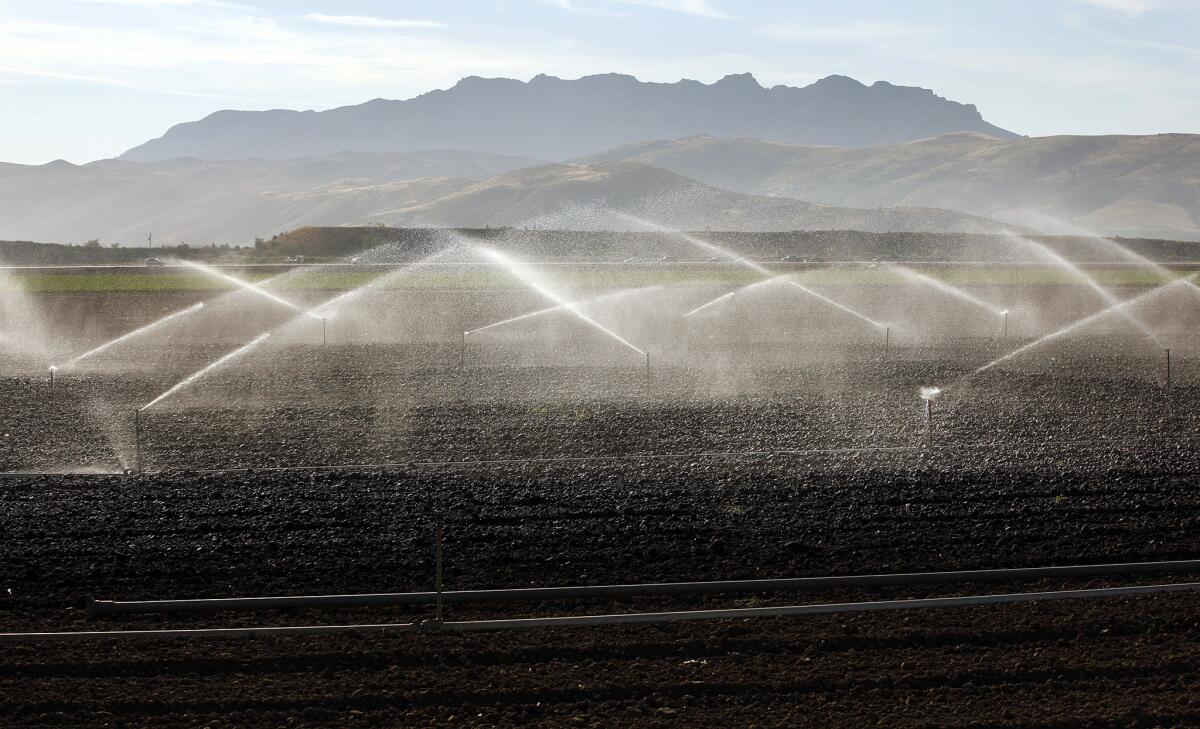 Farm fields on the Oxnard Plain being watered in April. The state has a new mandate for a 25% cut in urban water use.