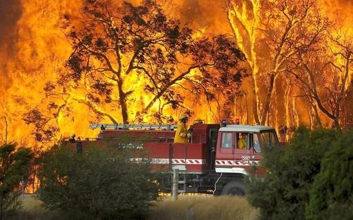 Australia wildfires: Bunyip State Forest