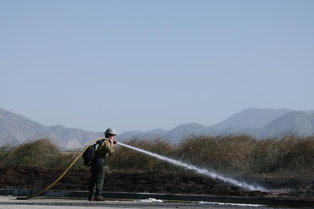 A firefighter with a hose over his shoulder sprays water on brush along a road