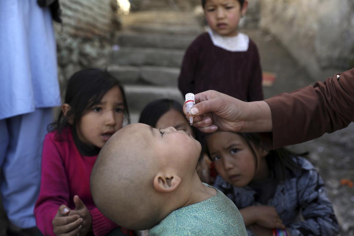 A child receives vaccination drops while other children watch.