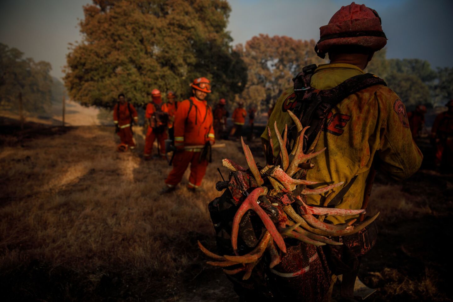 Buzz Craddock carries a pack tied with antlers covered in fire retardant as firefighters work to stop the progression of the River fire in Lakeport, Calif.