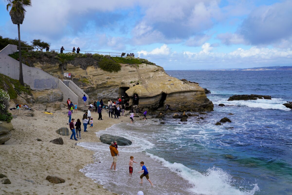 Sight seers at La Jolla Cove enjoy the sunshine and sea lion before the expected rain arrives in San Diego Feb. 22, 2022 in San Diego, CA.