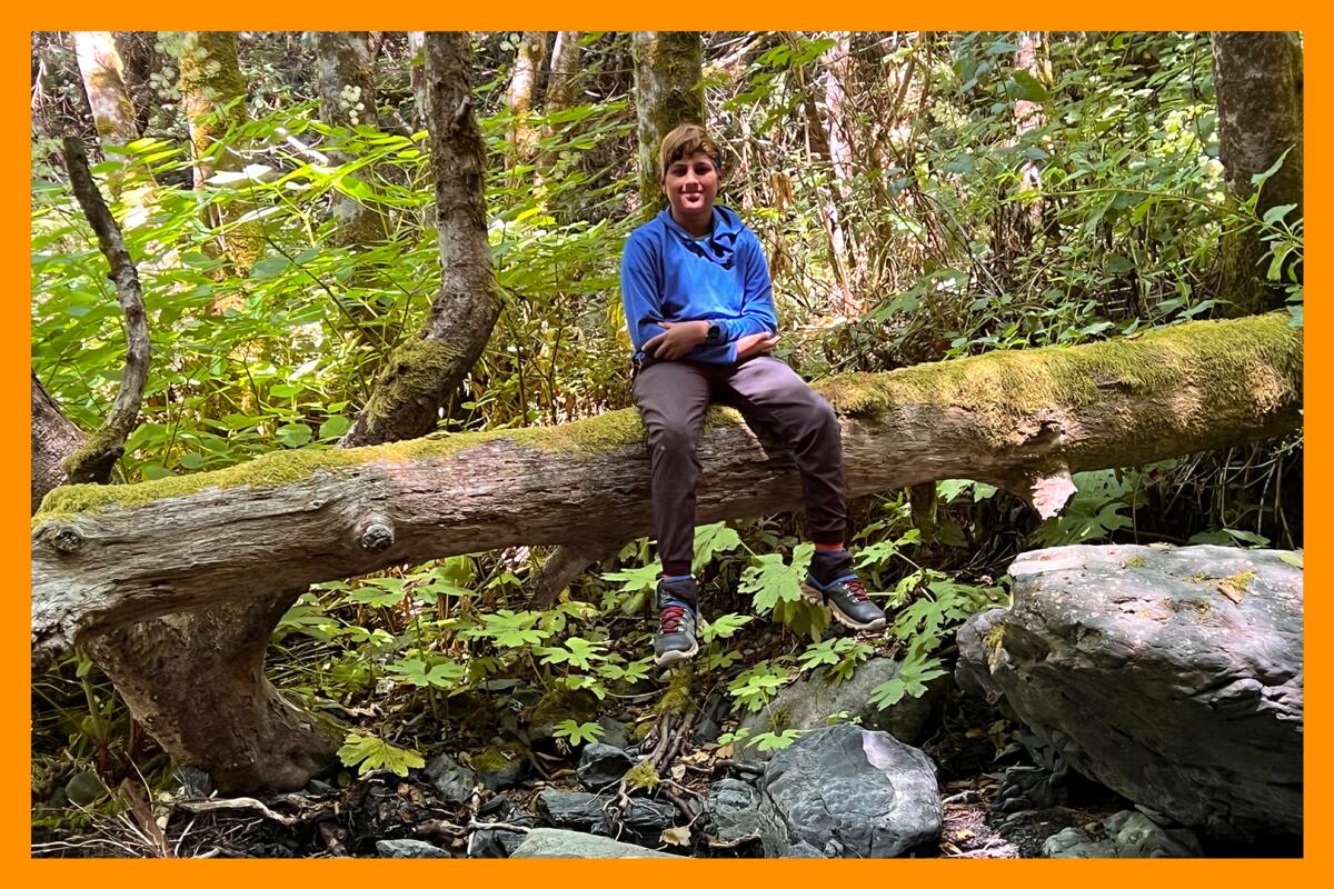A boy in a blue jacket sits on a moss-covered fallen tree