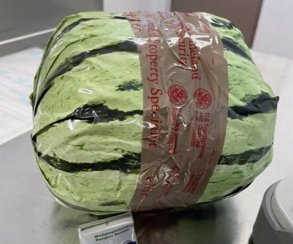 A package of meth disguised as a watermelon. 