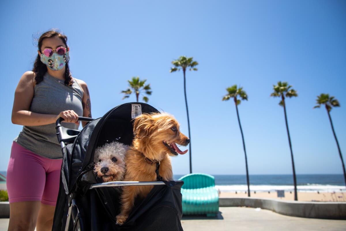 Denise Aguilar from Hawthorne walks with her dogs along a newly opened path on the Strand in Manhattan Beach on Friday.