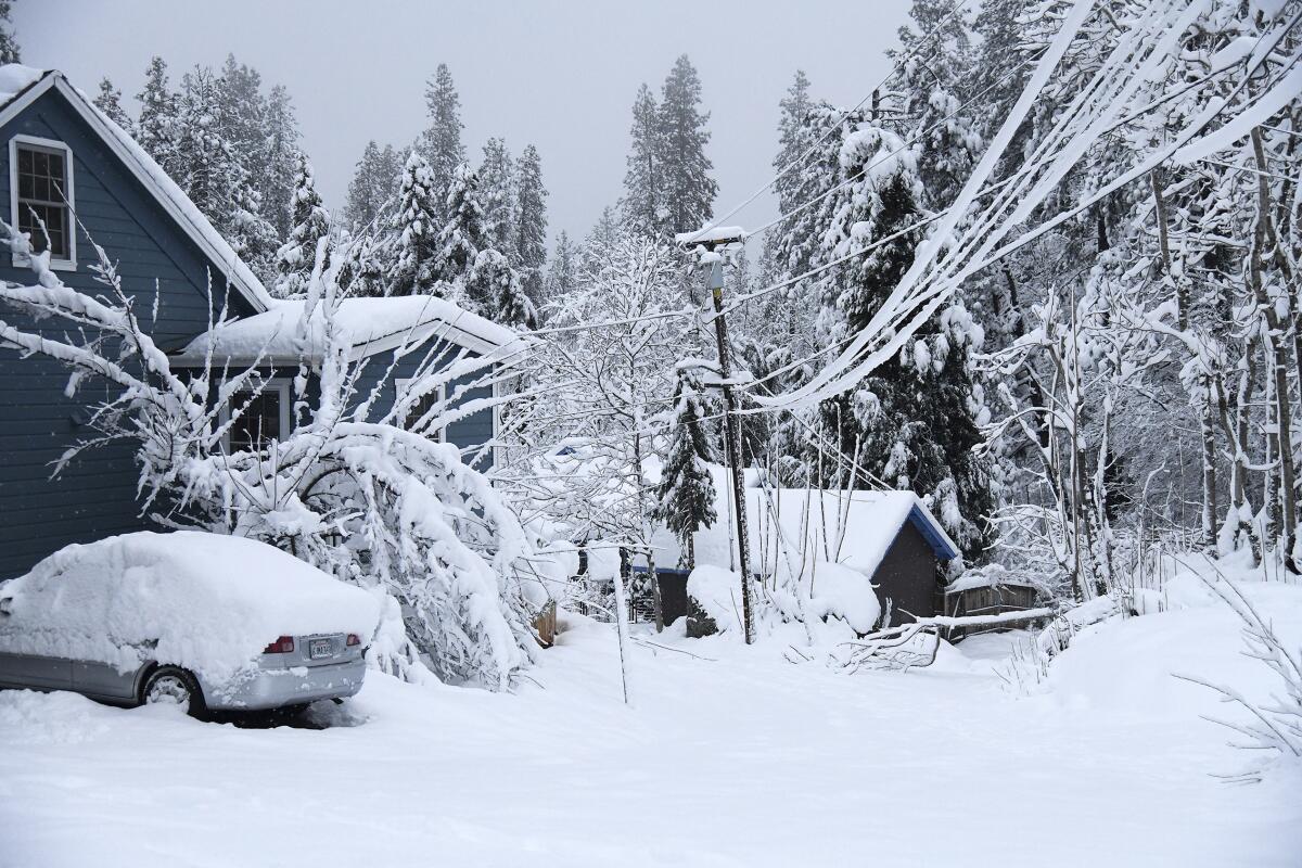 Snow buries houses and cars along a residential street.