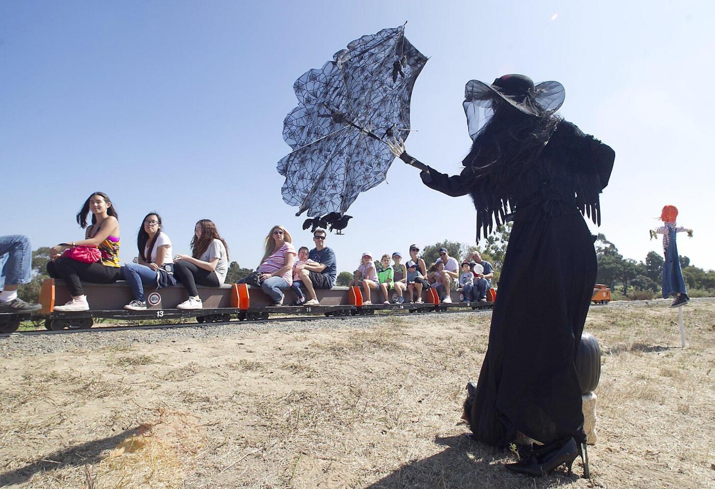 The witch scarecrow "Raven Nevermore" stands on the side of the tracks as guests ride by during the annual Scarecrow and Pumpkin Festival at Fairview Park’s Goat Hill Junction in Costa Mesa on Saturday. The popular event was again presented by the Orange County Model Engineers and other local groups.
