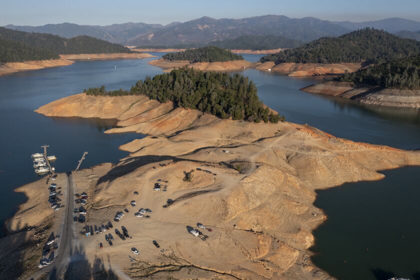 LAKE SHASTA, CA - JUNE 30: Water levels at Lake Shasta are lower as drought conditions persist on Wednesday, June 30, 2021 in Lake Shasta, CA. (Brian van der Brug / Los Angeles Times)