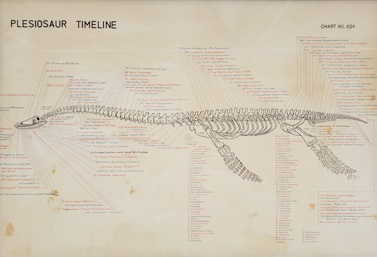 A sketch of a long skeleton with the words "Plesiosaur Timeline," at top 
