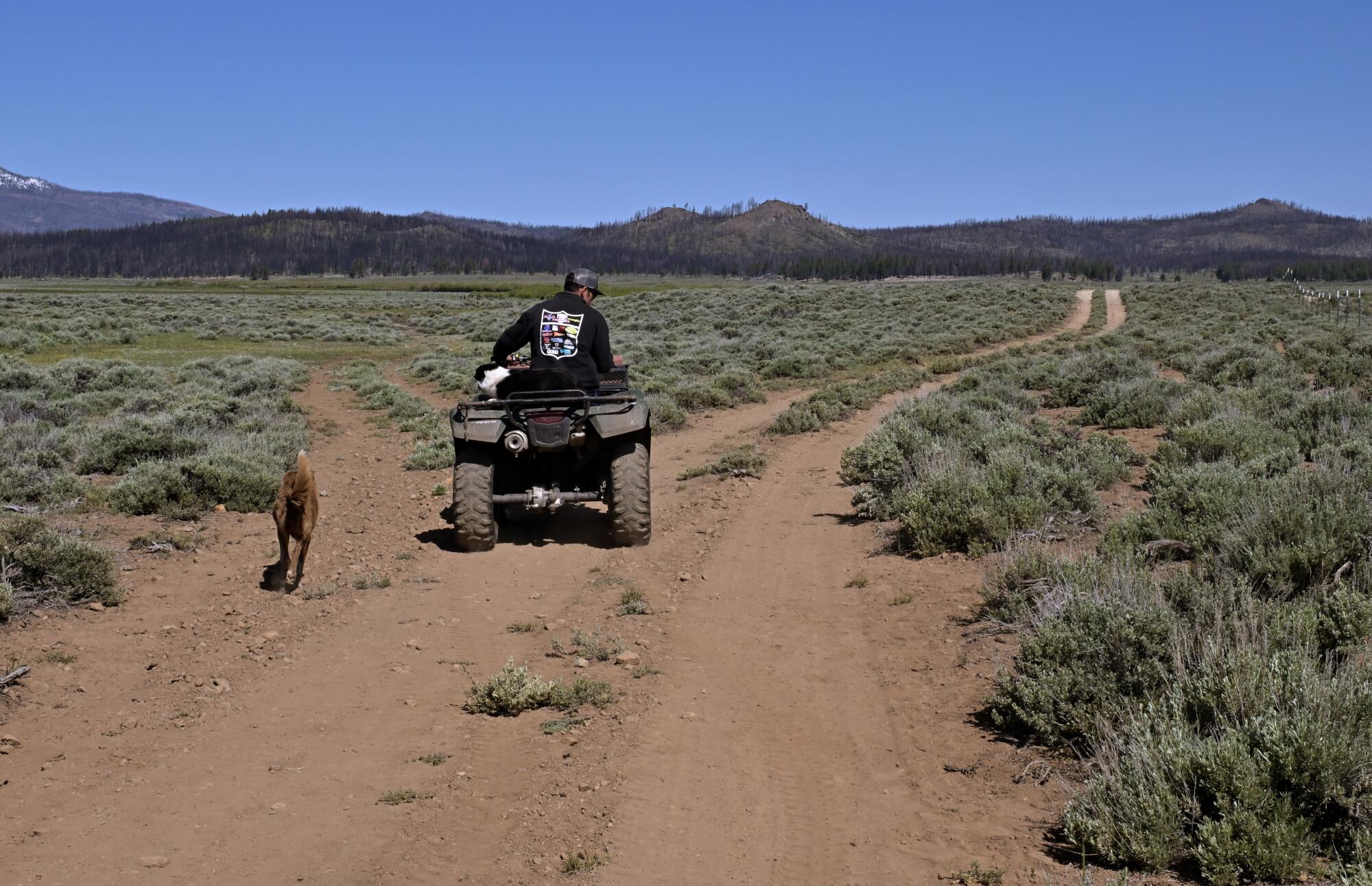 Rancher Dan Greenwood rides an ATV on a dirt road in a broad valley.