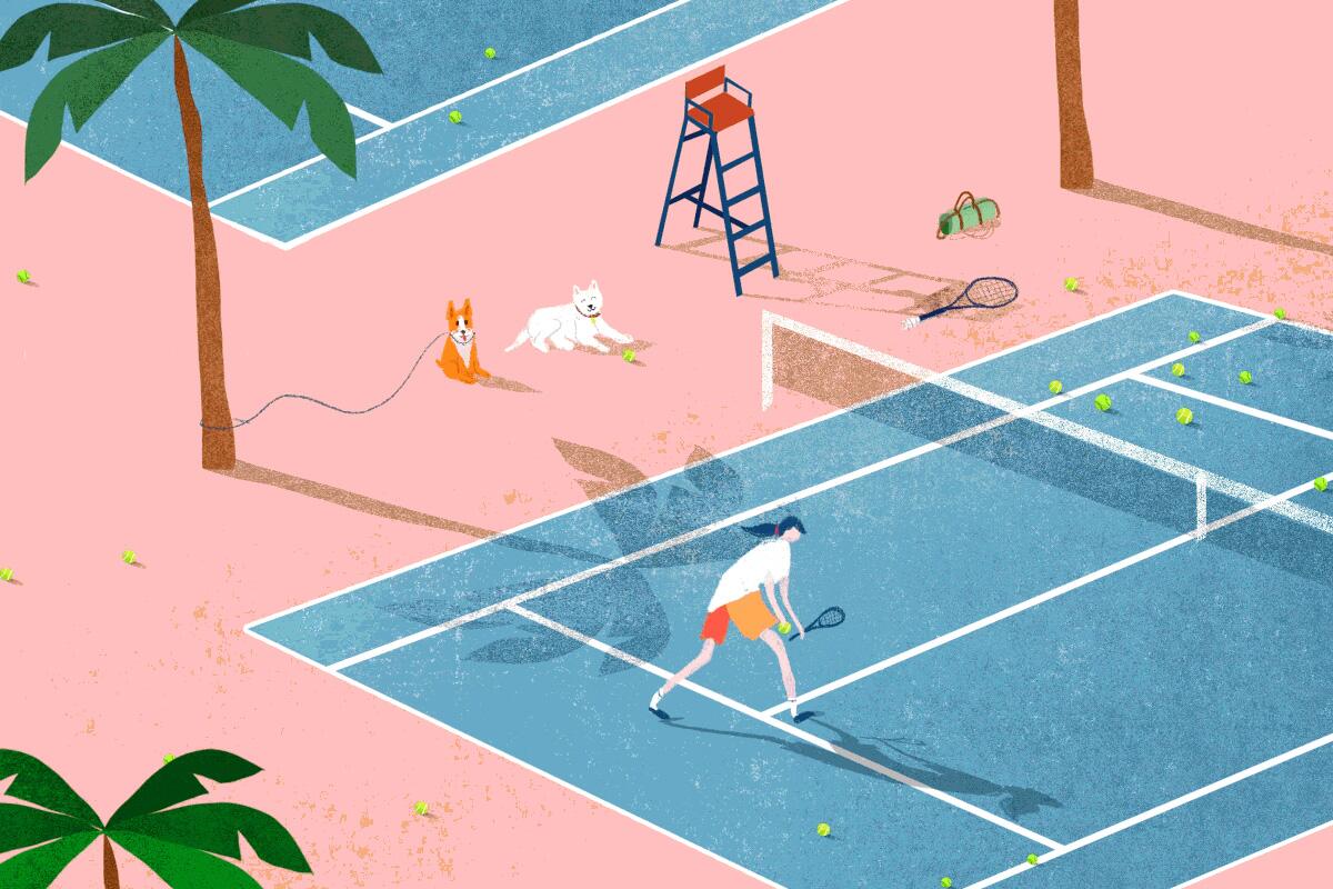 A person with a ponytail plays tennis on a blue court while two cute dogs watch.