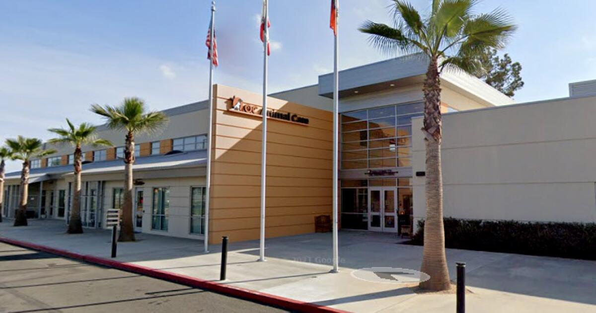 A shelter canine bit her 18 occasions; Orange County is paying her 0,000 A shelter canine bit her 18 occasions; Orange County is paying her 0,000