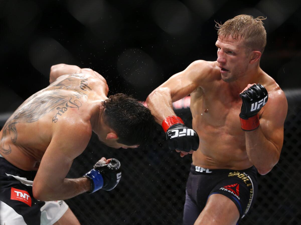T.J. Dillashaw lands a punch to the head of Renan Barao during their bantamweight title match at UFC Chicago on Saturday.
