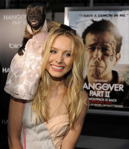 'The Hangover Part II' premiere