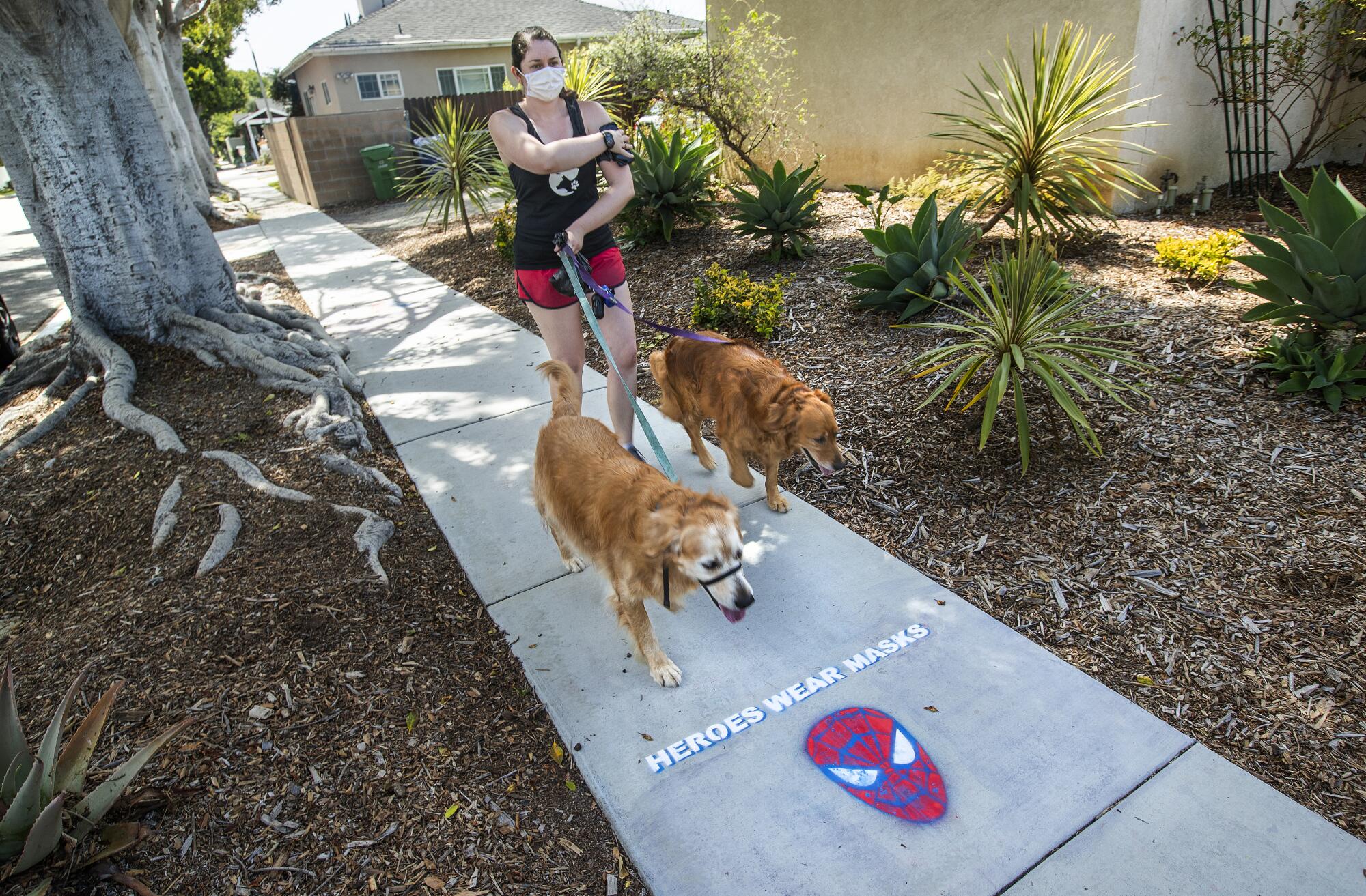 Professional dog walker Lindsay Rojas walks Gomez, left, and Nikki in Culver City.
