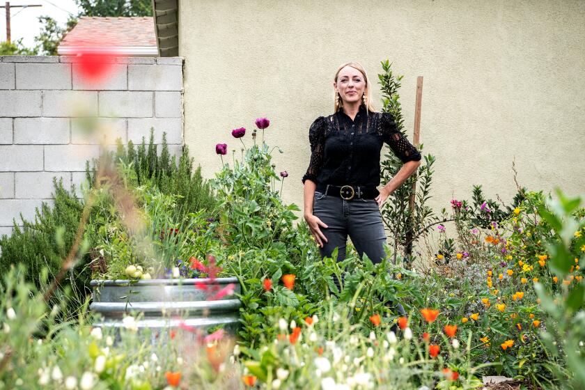 LOS ANGELES , CA - MAY 18: Portrait of Sarah Lariviere in her backyard in Burbank on Wednesday, May 18, 2022 in Los Angeles , CA. Lariviere and her husband removed their front and back lawns, replacing them with drought friendly, low water plants and desert gardens. (Mariah Tauger / Los Angeles Times)