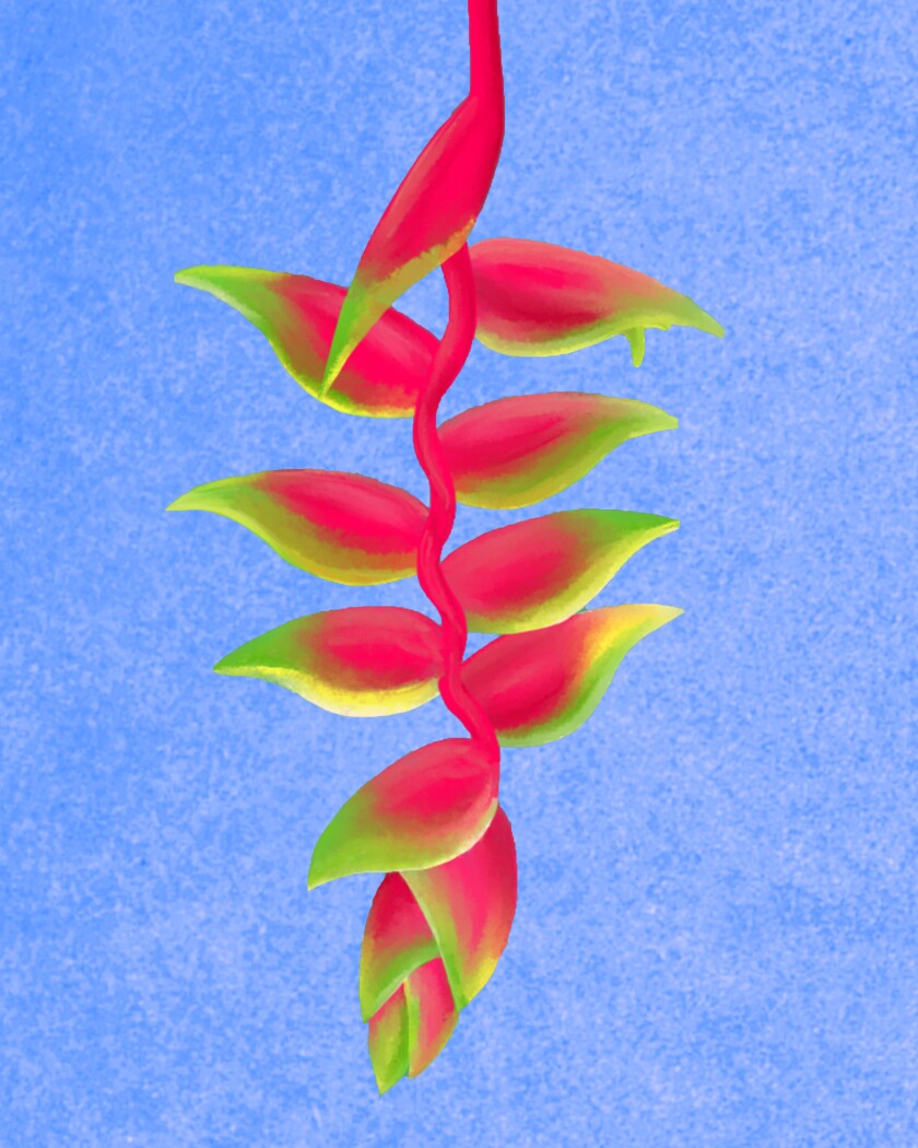 Illustration of brightly colored leaves against a blue background.