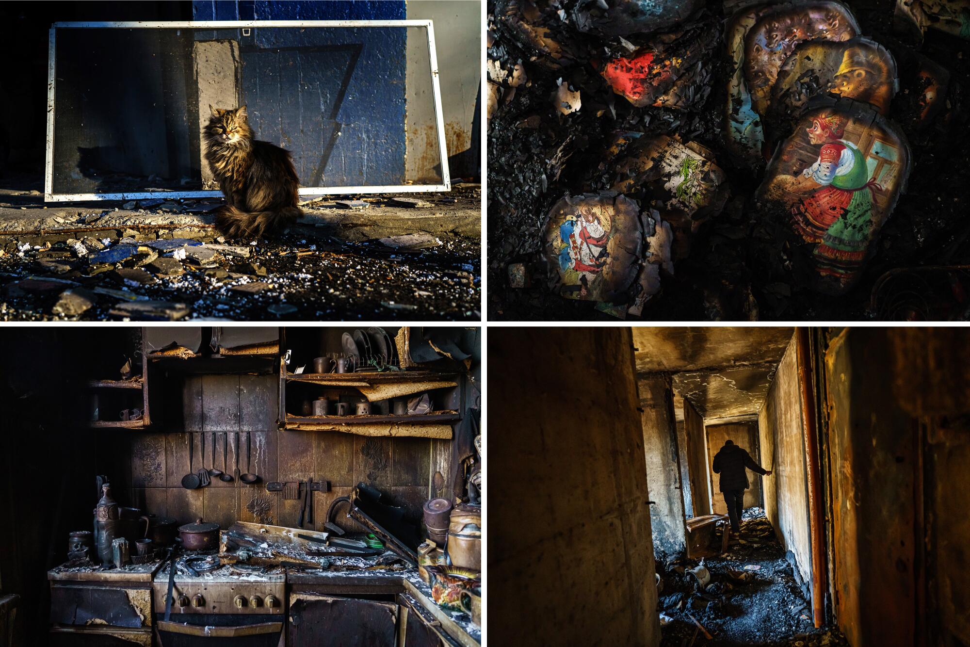 a cat pauses outside at sunset; burnt pages from a book; a man inspects the building; and what remains of a kitchen.
