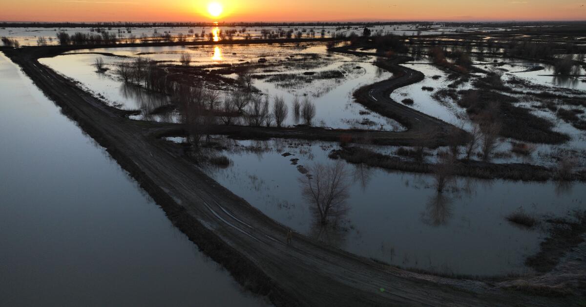 California aquifers boosted by wet year and recharge efforts