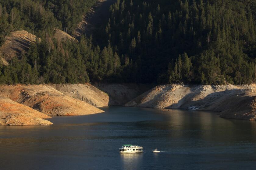 SHASTA LAKE, CA - July 15: Years-long drought has dropped the water level exposing the "bathtub ring" at Shasta Lake in California. Photographed on Friday, July 15, 2022 in Shasta Lake, Shasta County CA. (Myung J. Chun / Los Angeles Times)