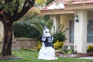 PALMDALE, CALIF. -- SUNDAY, DECEMBER 1, 2019: A snowman wearing a football jersey and palm frond wings sits on a lawn on Desert View Dr. as high desert snow melts in the Antelope Valley town of Palmdale in Palmdale, Calif., on Dec. 1, 2019. (Brian van der Brug / Los Angeles Times)