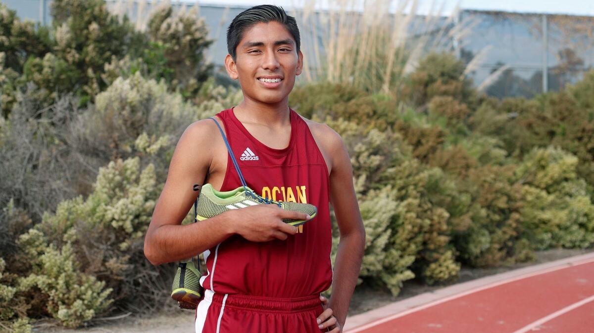 Ocean View High junior cross-country runner Edwin Montes is the Daily Pilot Male Athlete of the Week. Montes won the Golden West League individual title last week at Central Park in Huntington Beach.