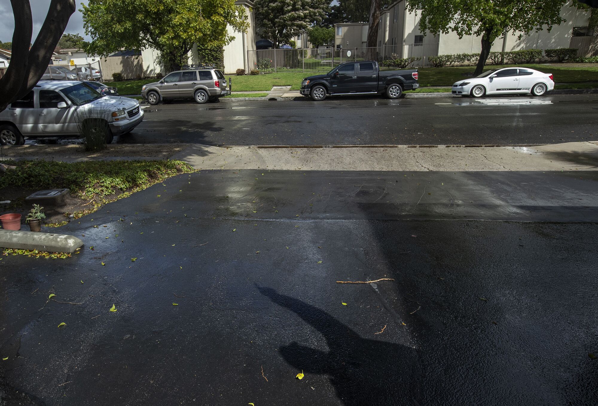 A view toward a street from a driveway. Cars are parked along the street. Pavement is wet from rain.