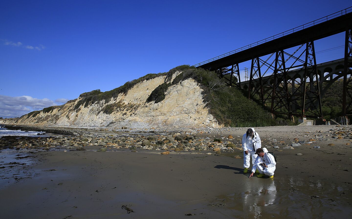 Scientists from the California Department of Fish and Wildlife and the UCSB Marine Science Institute conduct natural resource damage assessments at the Arroyo Hondo in the aftermath of the oil spill on the Gaviota coast.