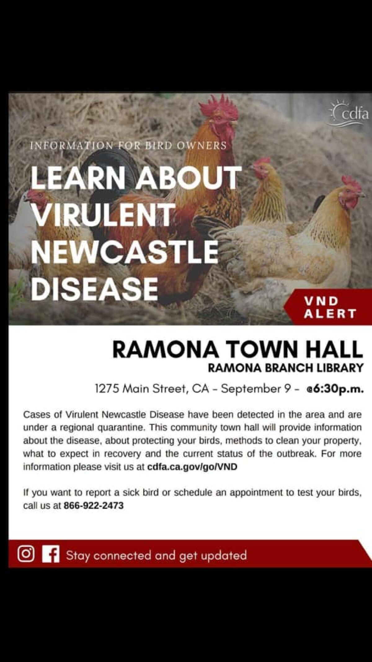 California Department of Food & Agriculture will hold a meeting in Ramona Library to discuss Newcastle disease.