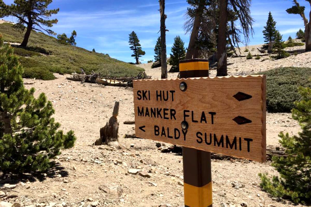 Mt. Baldy sign