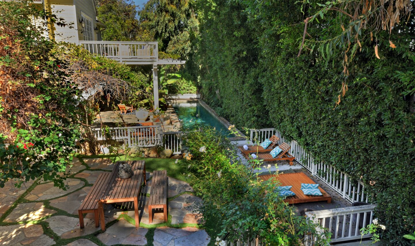 The backyard.
