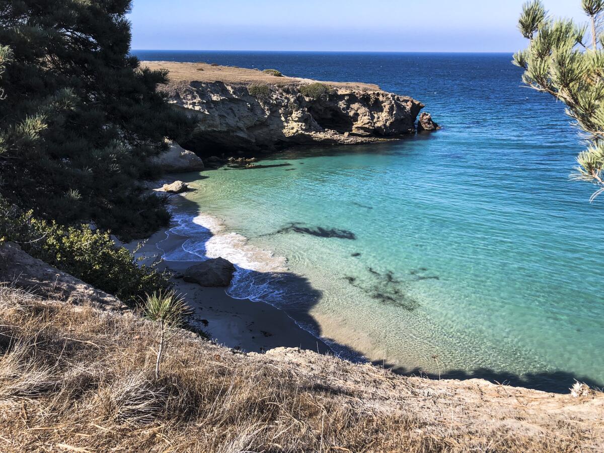 An ocean cove surrounded by hills with trees and dry brush.